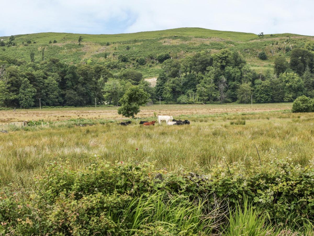 Seaview-Barsloisnach Cottage Kilmartin エクステリア 写真